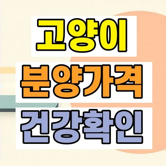 고양이분양 가격 건강확인