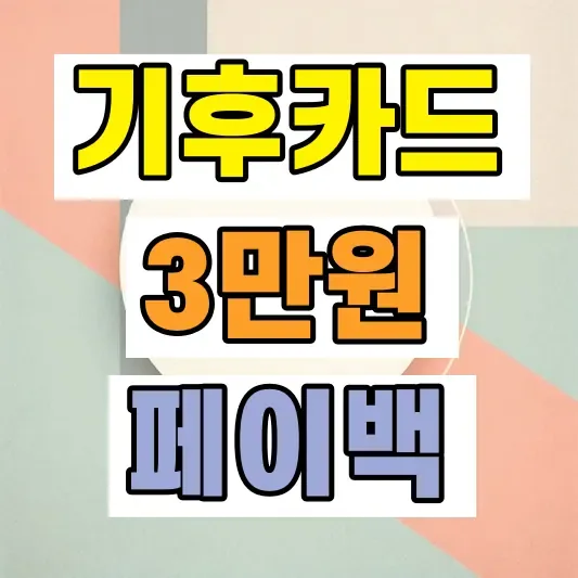 기후동행카드 대상 조건