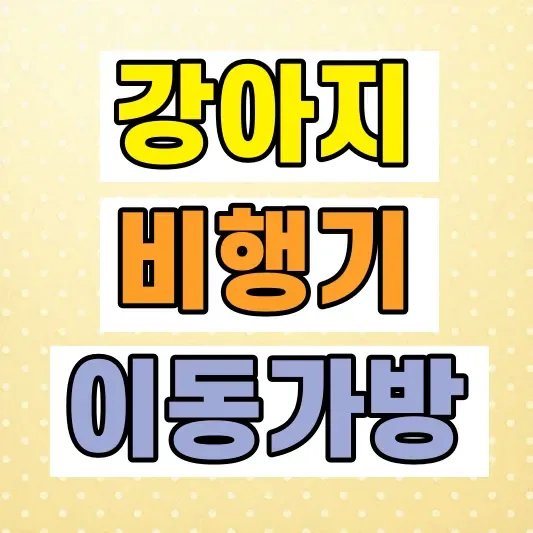 반려견 이동가방 항공 기준