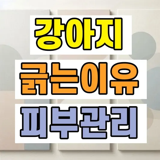 강아지 자주 긁는 원인