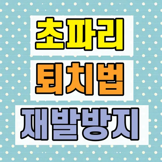 초파리 발생 원인 퇴치법